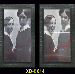 3D Halloween Face Changing Ghost Portrait - Gadget and Glam Shop
