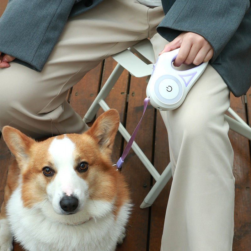 Led Lights Dog Leash - Gadget and Glam Shop