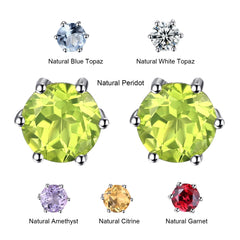 JewelryPalace Genuine Peridot Blue Topaz Amethyst Citrine Garnet 925 Sterling Silver Stud Earrings for Women Colorful Gemstone